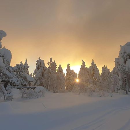 Ro I Sjelen. Hytte Til Leie Pa Skrim. Kongsberg Esterno foto