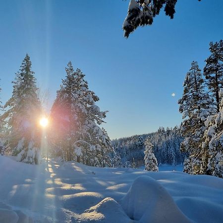 Ro I Sjelen. Hytte Til Leie Pa Skrim. Kongsberg Esterno foto