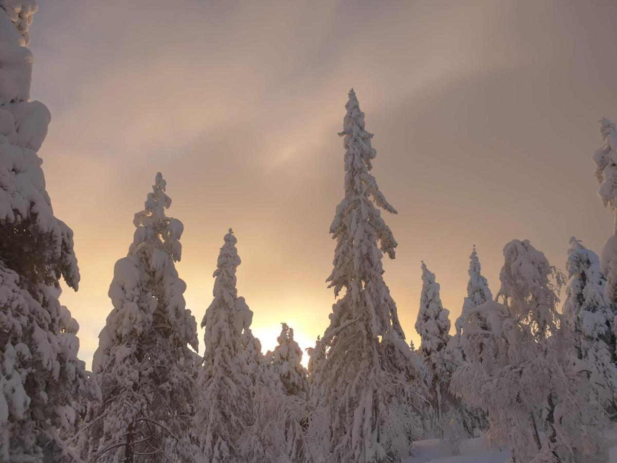Ro I Sjelen. Hytte Til Leie Pa Skrim. Kongsberg Esterno foto