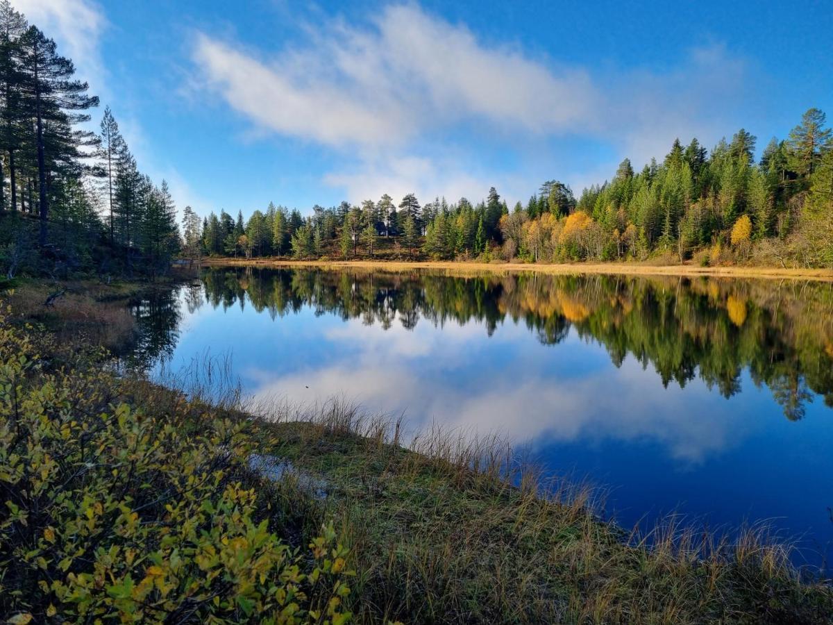 Ro I Sjelen. Hytte Til Leie Pa Skrim. Kongsberg Esterno foto