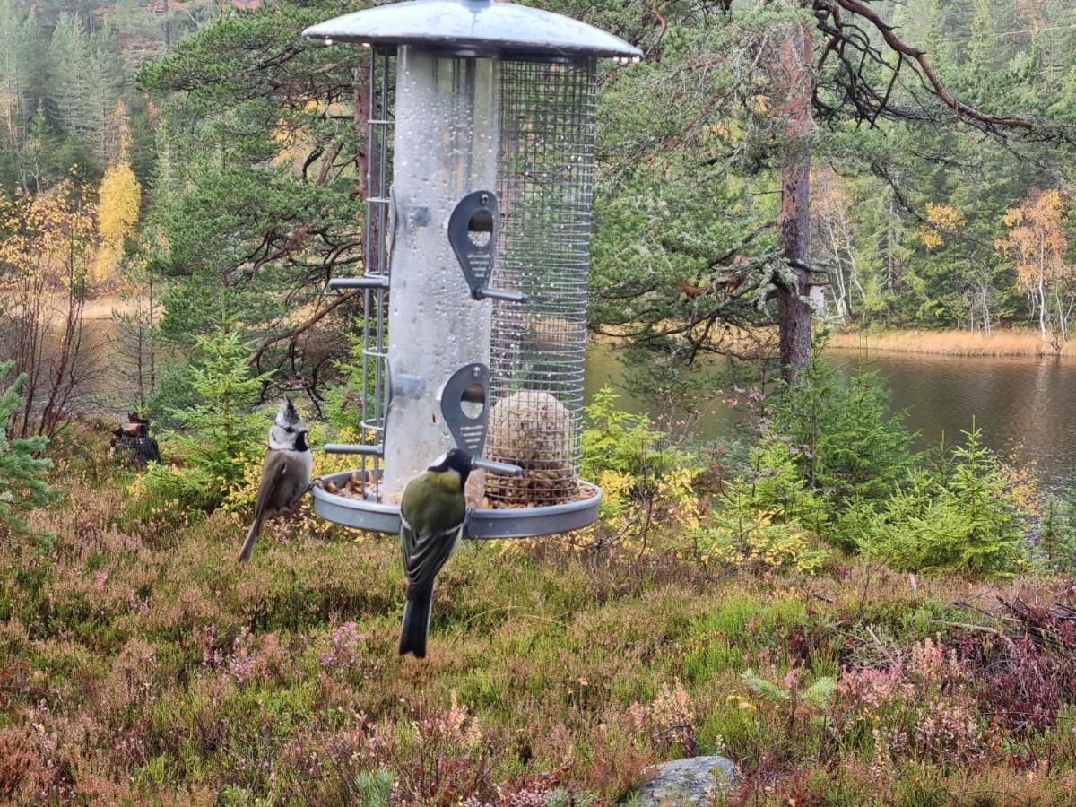 Ro I Sjelen. Hytte Til Leie Pa Skrim. Kongsberg Esterno foto