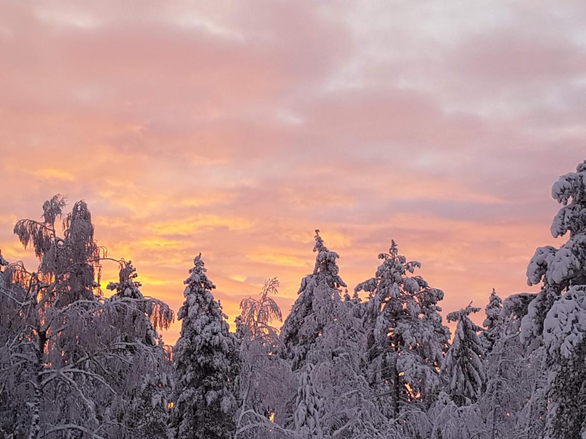Ro I Sjelen. Hytte Til Leie Pa Skrim. Kongsberg Esterno foto
