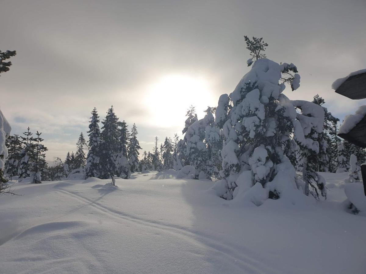 Ro I Sjelen. Hytte Til Leie Pa Skrim. Kongsberg Esterno foto