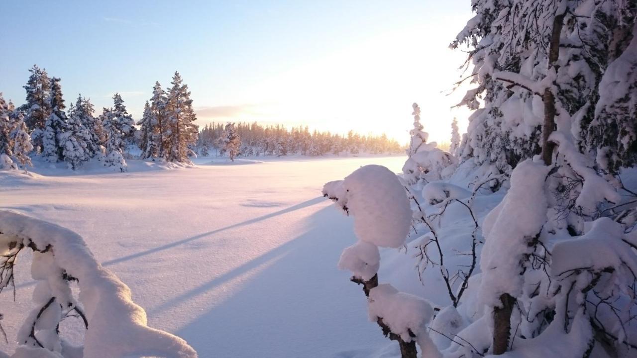 Ro I Sjelen. Hytte Til Leie Pa Skrim. Kongsberg Esterno foto