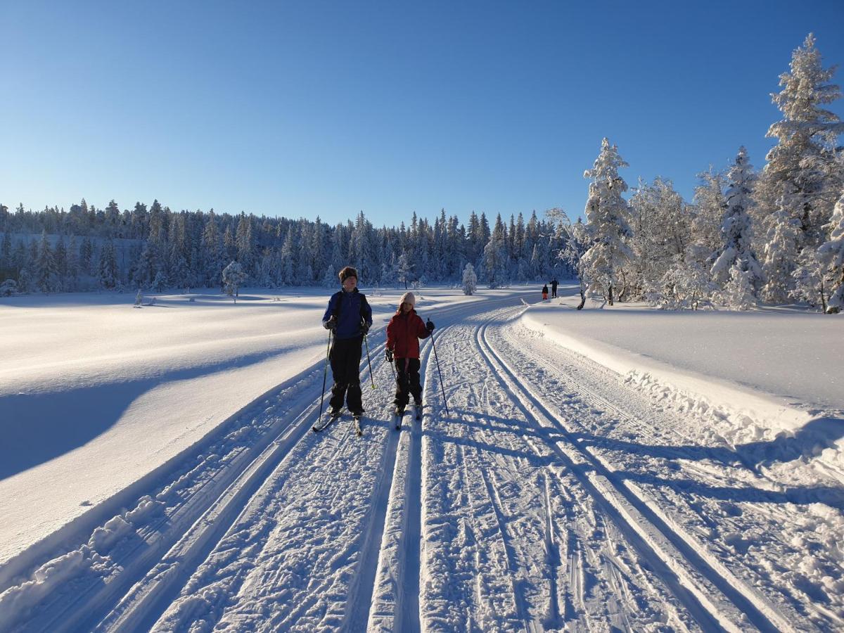 Ro I Sjelen. Hytte Til Leie Pa Skrim. Kongsberg Esterno foto