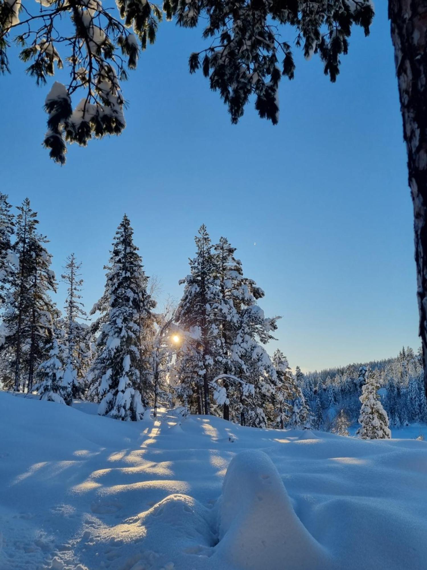 Ro I Sjelen. Hytte Til Leie Pa Skrim. Kongsberg Esterno foto