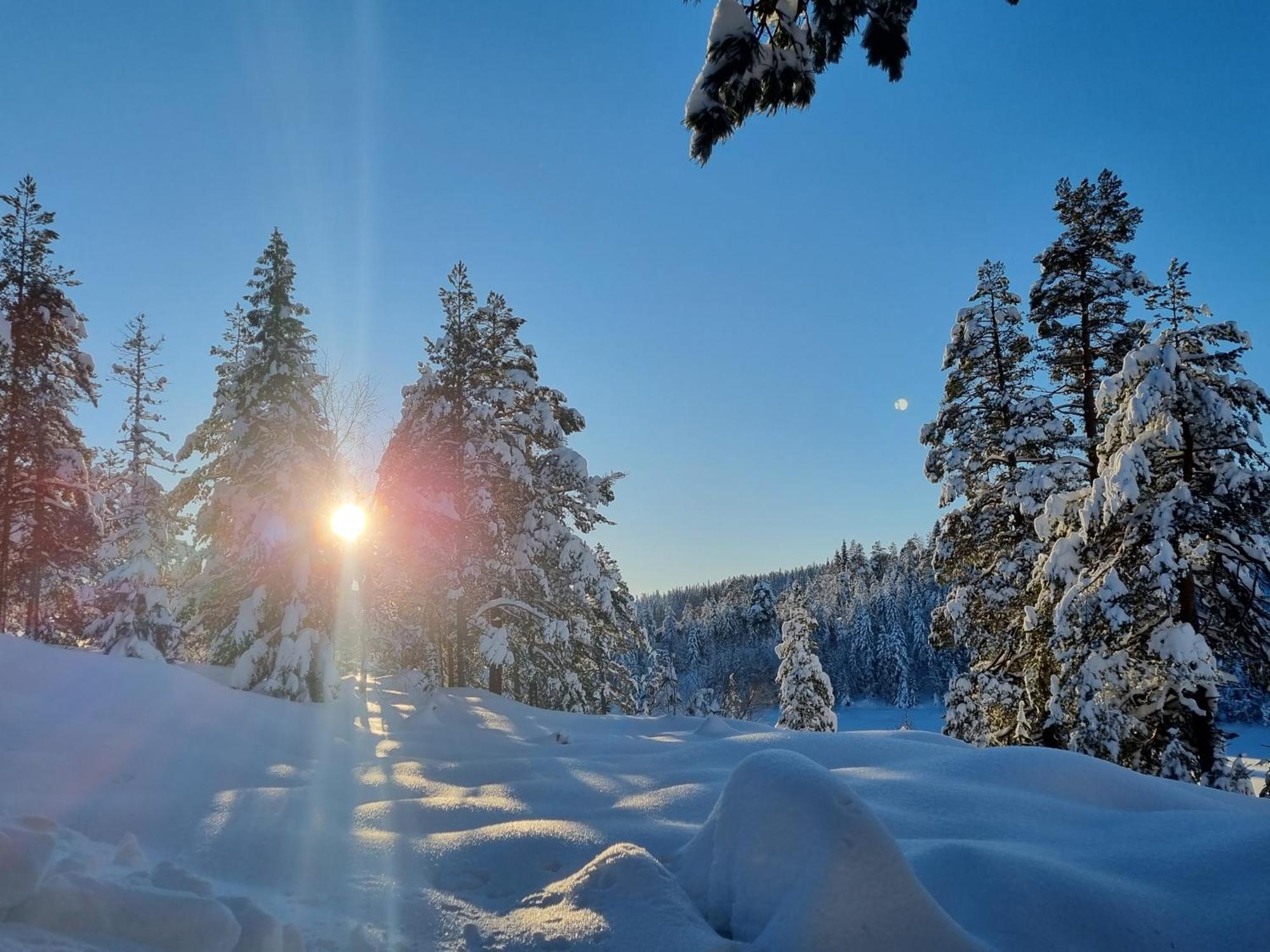 Ro I Sjelen. Hytte Til Leie Pa Skrim. Kongsberg Esterno foto