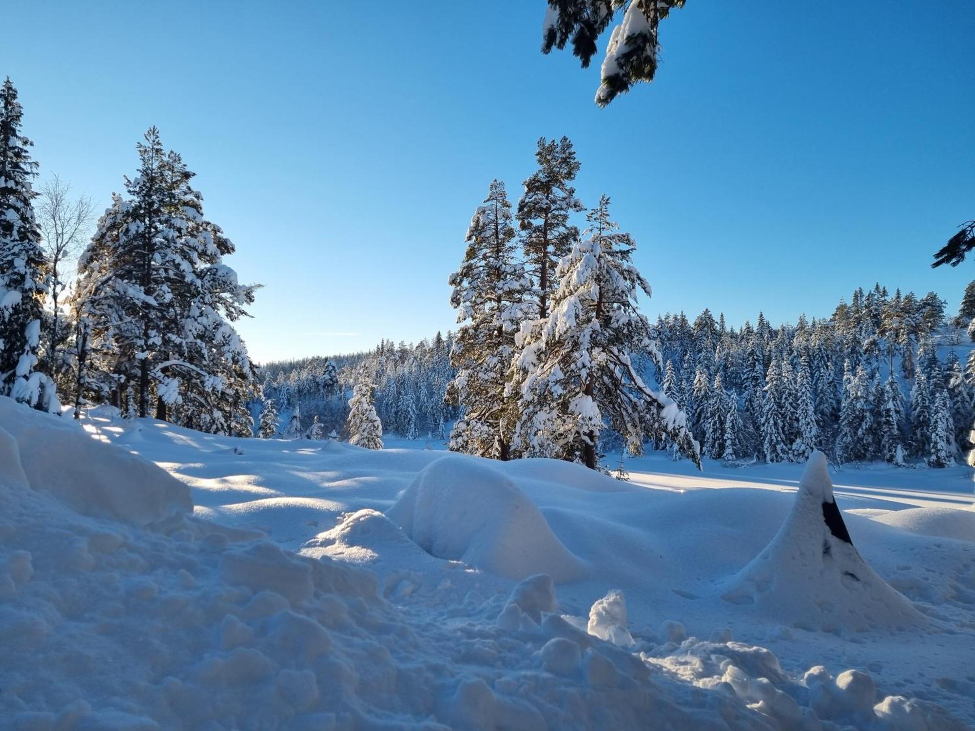 Ro I Sjelen. Hytte Til Leie Pa Skrim. Kongsberg Esterno foto