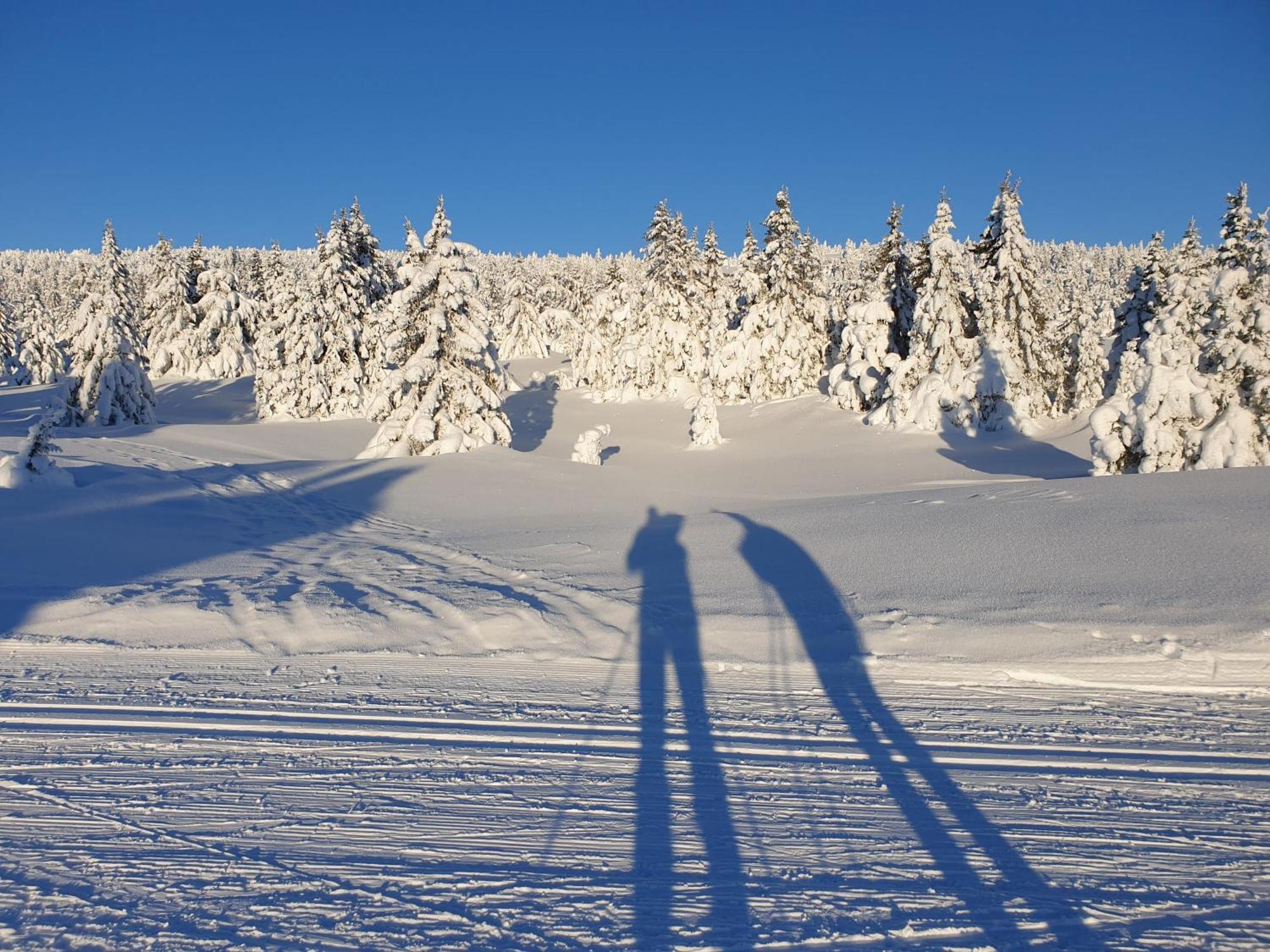 Ro I Sjelen. Hytte Til Leie Pa Skrim. Kongsberg Esterno foto