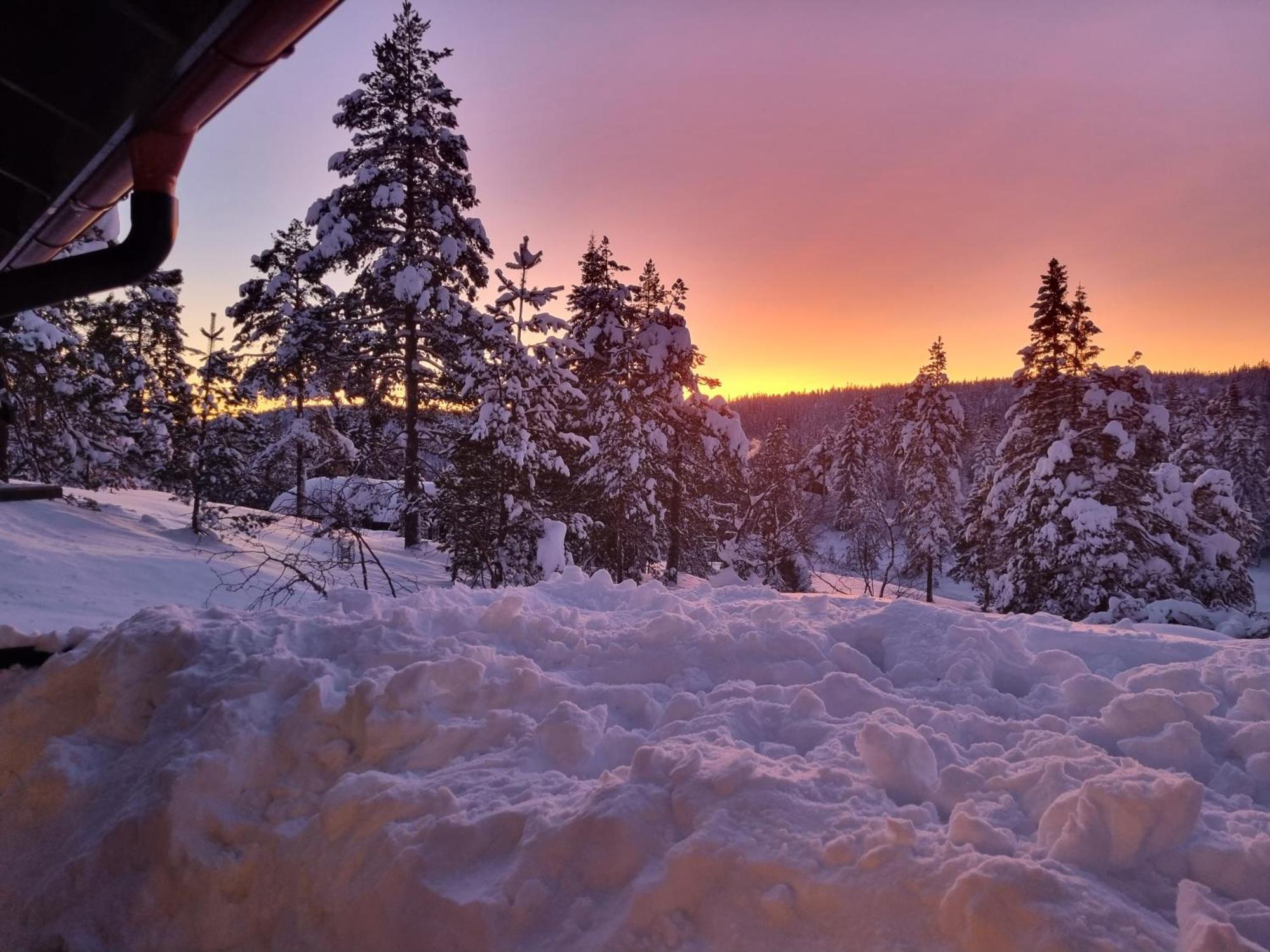 Ro I Sjelen. Hytte Til Leie Pa Skrim. Kongsberg Esterno foto