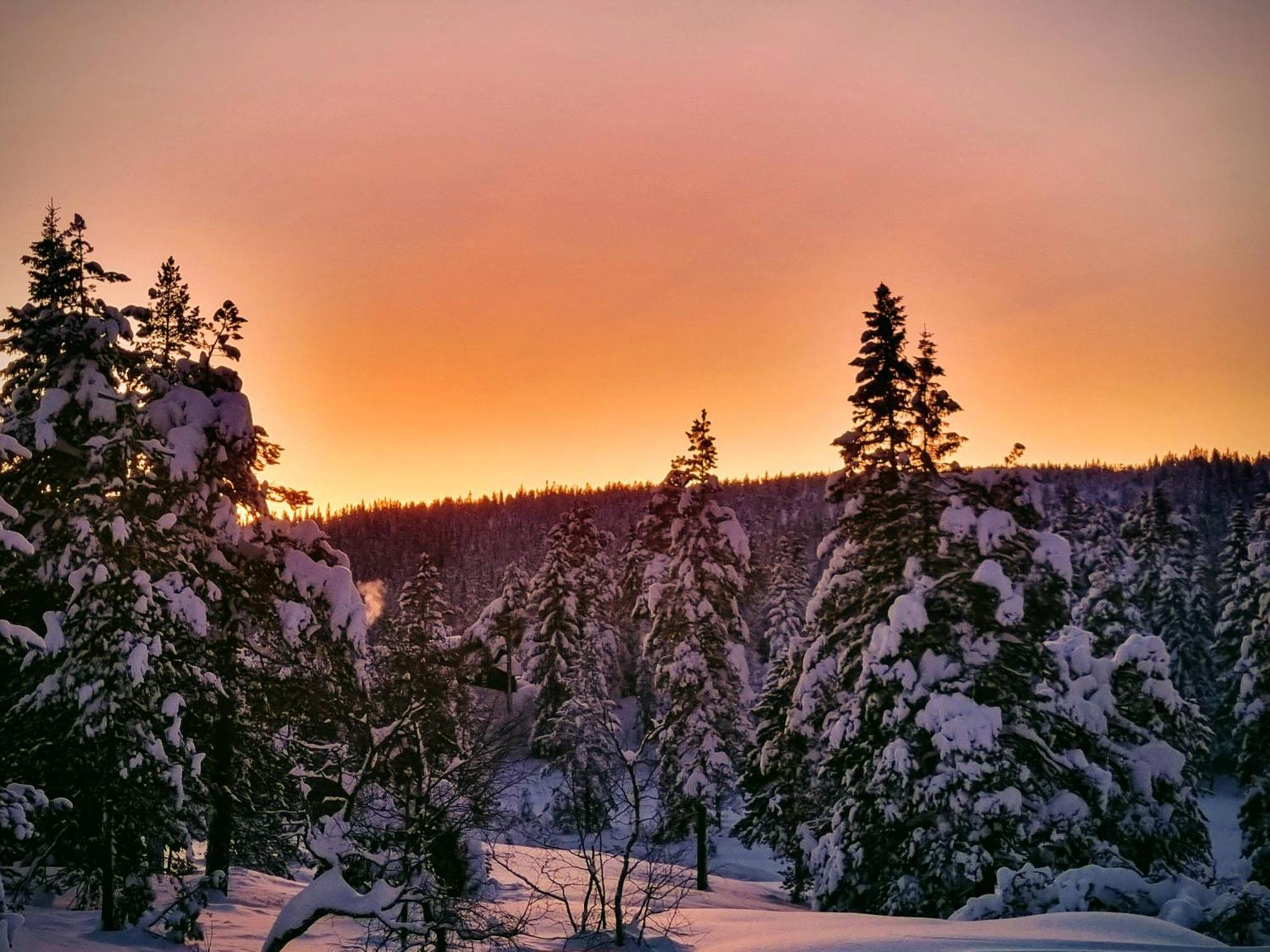 Ro I Sjelen. Hytte Til Leie Pa Skrim. Kongsberg Esterno foto