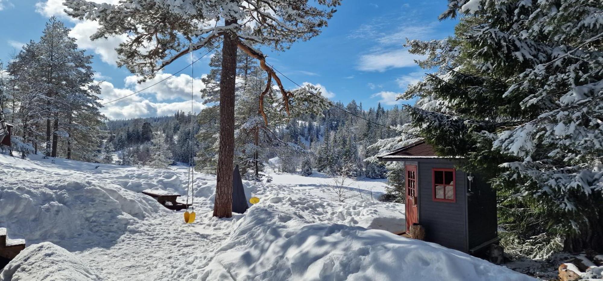 Ro I Sjelen. Hytte Til Leie Pa Skrim. Kongsberg Esterno foto