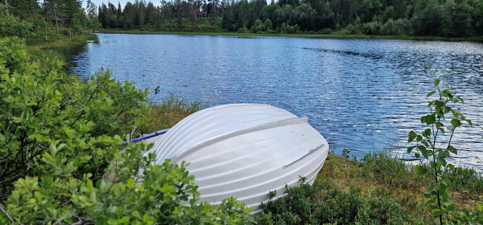 Ro I Sjelen. Hytte Til Leie Pa Skrim. Kongsberg Esterno foto